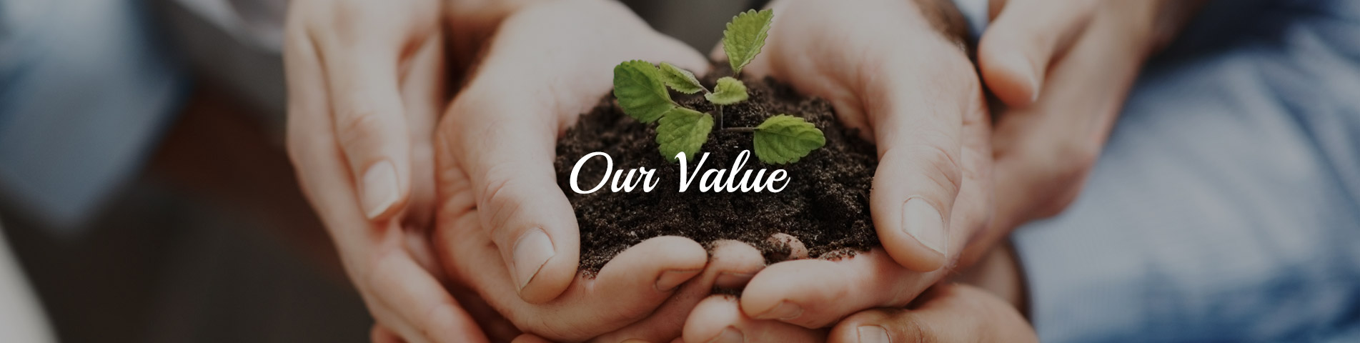 our Value