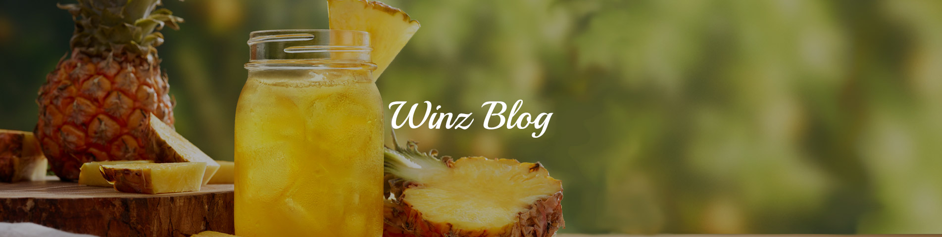 Winz Blog
