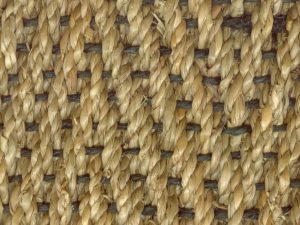 seagrass carpets