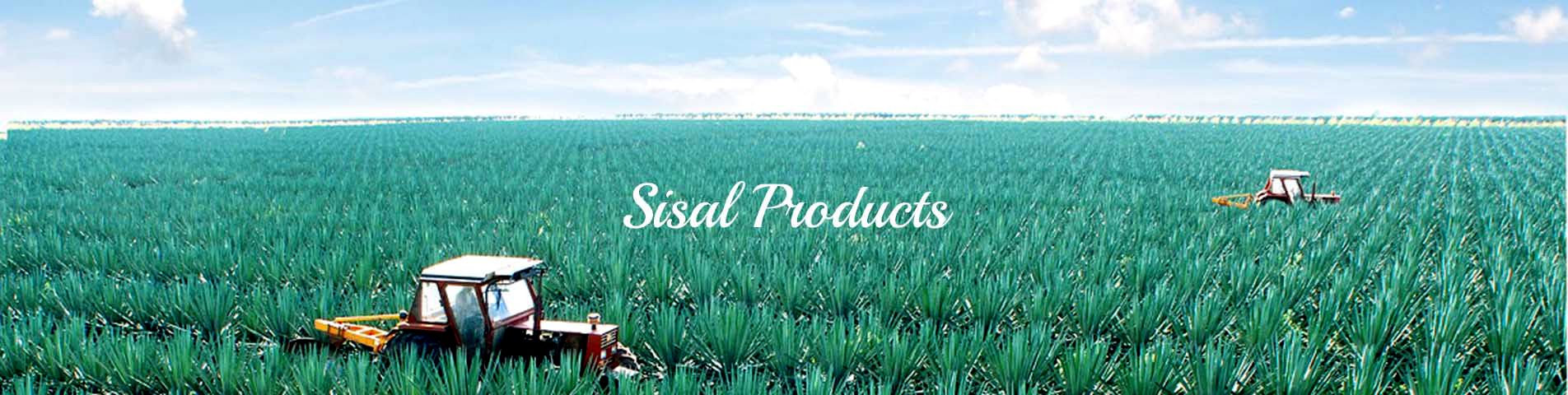 sisal products