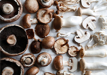 Mushrooms take a center level in many meatless recipes